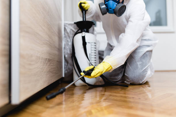 Best Pest Prevention Services  in Selmer, TN