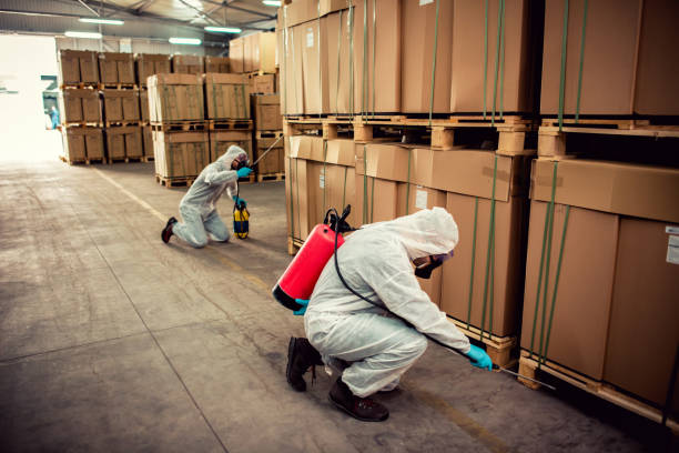 Best Exterminator Services  in Selmer, TN