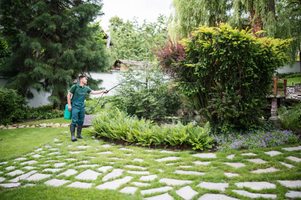 Best Wasp Removal Services  in Selmer, TN