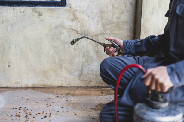 Best Pest Control Cost  in Selmer, TN